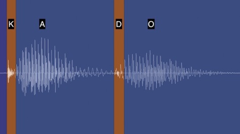 La courbe audio du mot kado