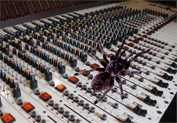 Une console d'enregistrement audio et une tarentule